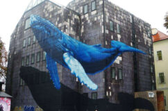 Anamorphose baleine_Zagreb street art_Etien’_Mural-studio