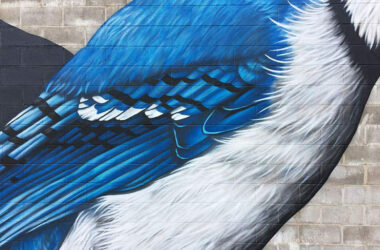Fresque murale_Geai Bleu_Inspire Festival_Mural-Studio