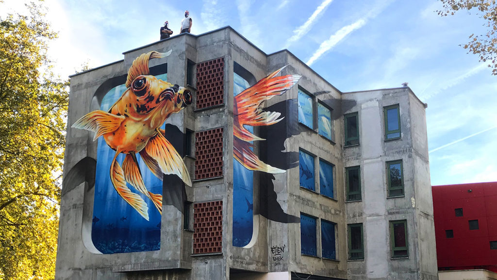 vignette-bayonne_lr vignette_video-bayonne