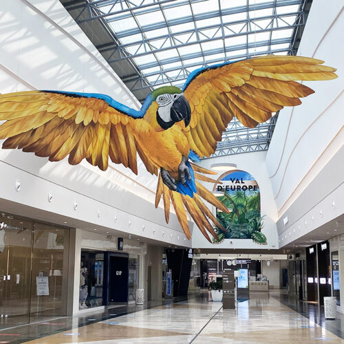 anamorphose suspendue représentant un ara bleu