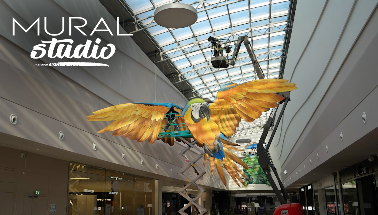 vidéo anamorphose aérienne mural studio