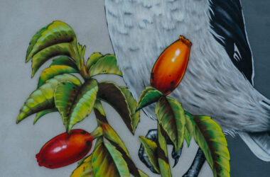 fresque murale pies grièches-LPO-Mural studio