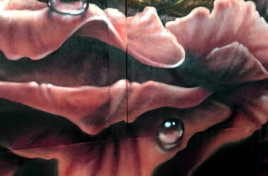 fresque-murale_Zoo-XXL_Mural-Studio
