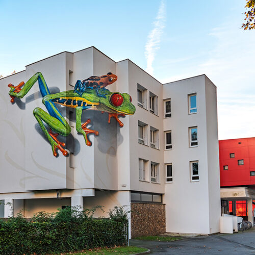 anamorphose_points-de-vue-festival_Mural-Studio