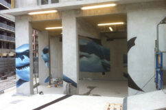 anamorphose_grand-requin-blanc_Mural-Studio