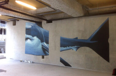 anamorphose_grand-requin-blanc_Mural-Studio