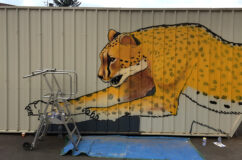 anamorphose_guepard_Mural-Studio