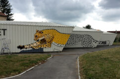 anamorphose_guepard_Mural-Studio