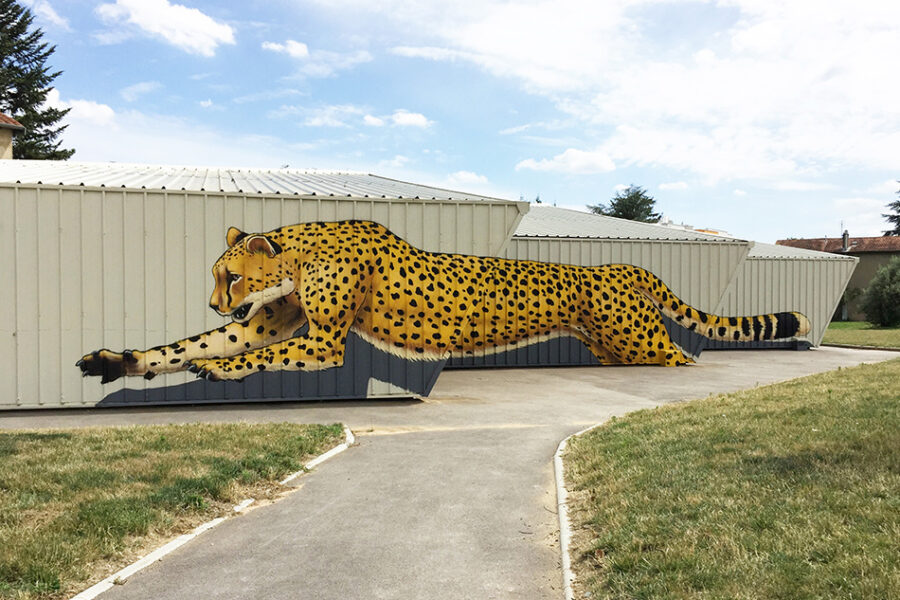 anamorphose_guepard_Mural-Studio