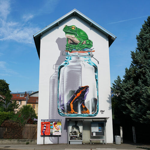 fresque-murale_grenouilles_StreetArt-Fest_Mural-Studio