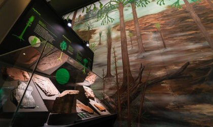 Mural-Studio fresque "Planète carbonifère"-museum Grenoble-scénographie