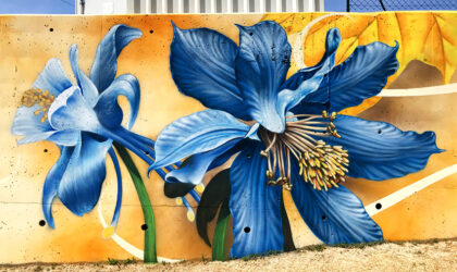 fresque déchèterie la Mure _ fleurs bleues