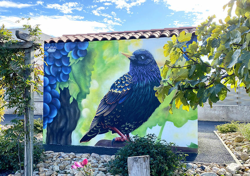 fresque sur transformateur Enedis_Cabestany_ Mural Studio