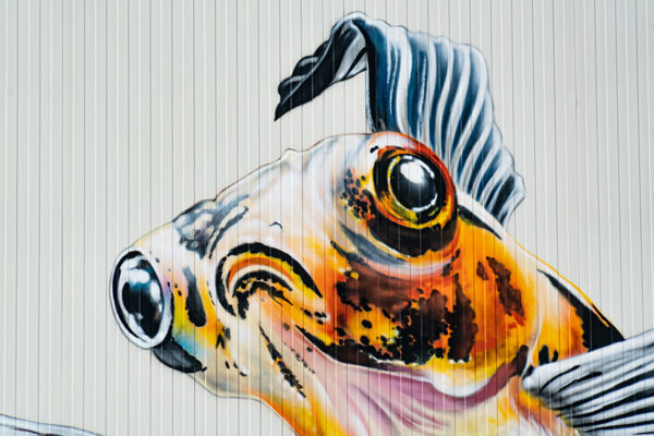 Fresque sur façade Toutenvert - Mural Studio