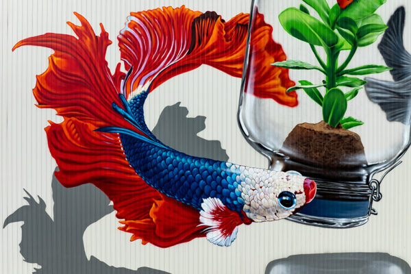 Fresque sur façade Toutenvert - Mural Studio