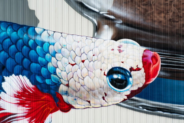 Fresque sur façade Toutenvert - Mural Studio